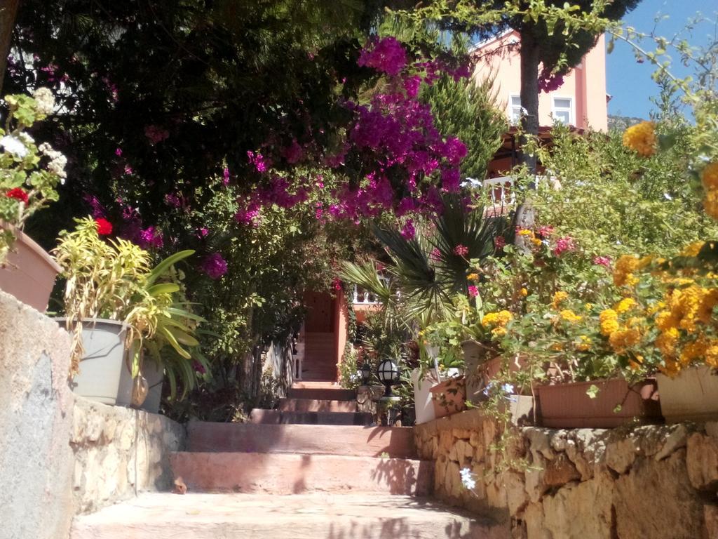 Villa Koknar Pension Kaş Chambre photo