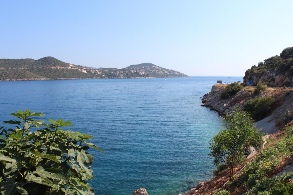 Villa Koknar Pension Kaş Chambre photo