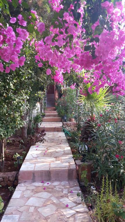 Villa Koknar Pension Kaş Extérieur photo